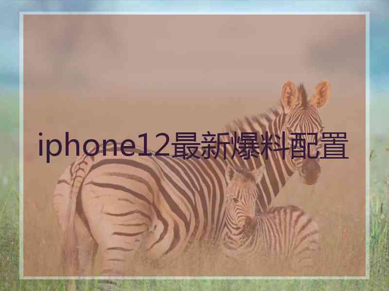 iphone12最新爆料配置