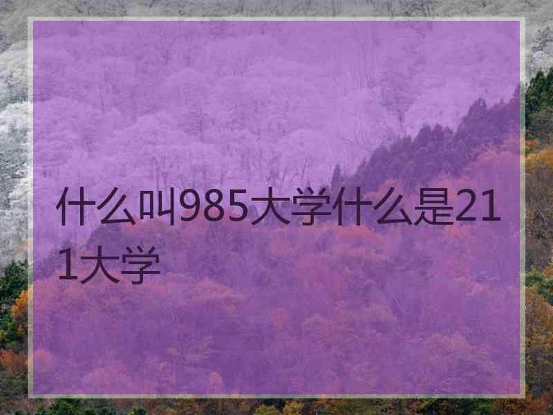 什么叫985大学什么是211大学