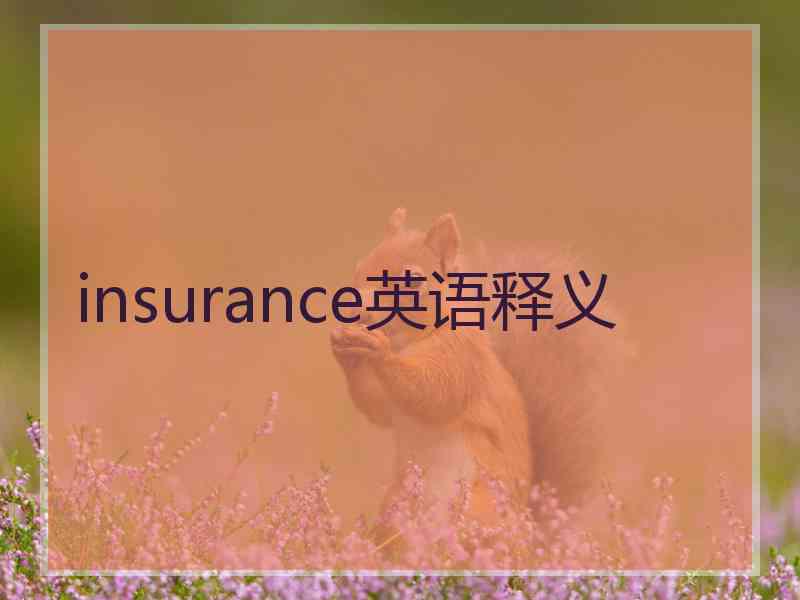 insurance英语释义