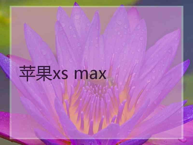 苹果xs max