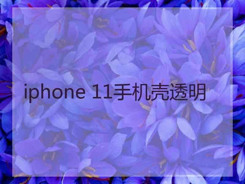 iphone 11手机壳透明