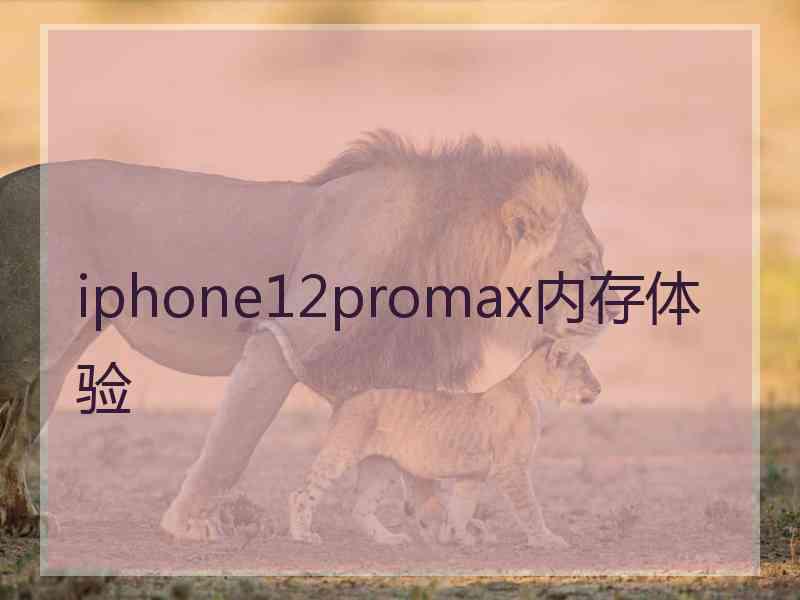 iphone12promax内存体验