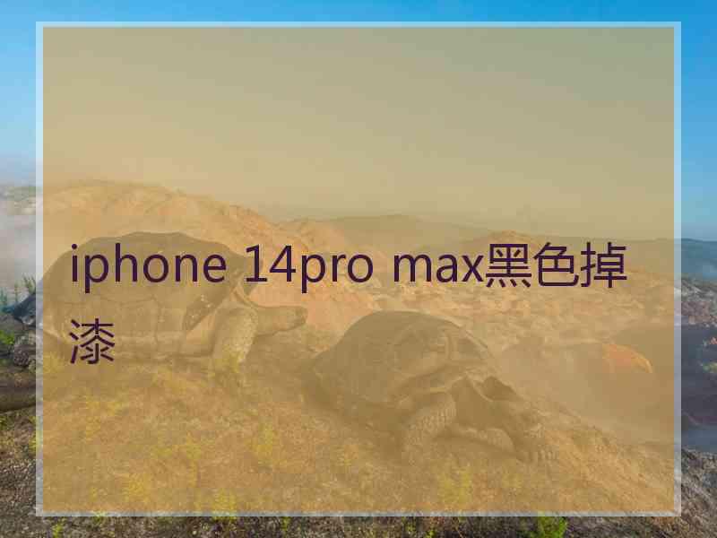 iphone 14pro max黑色掉漆