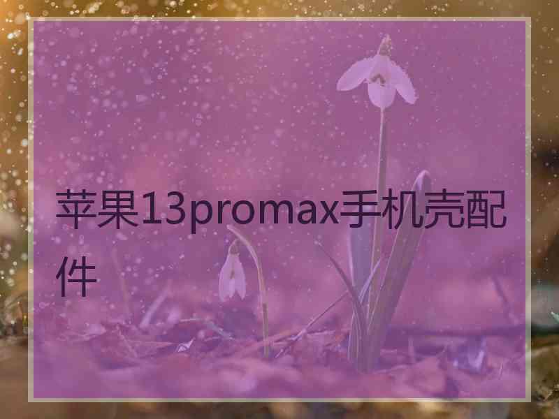 苹果13promax手机壳配件