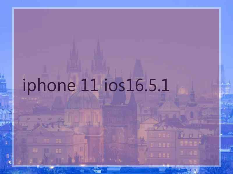 iphone 11 ios16.5.1