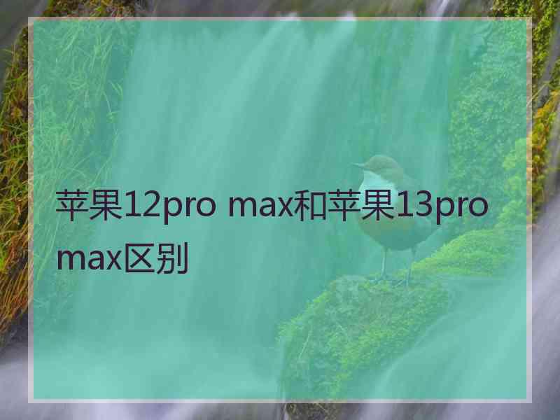 苹果12pro max和苹果13promax区别