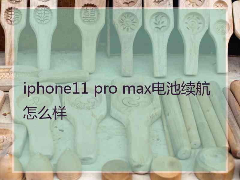 iphone11 pro max电池续航怎么样