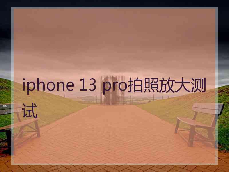 iphone 13 pro拍照放大测试