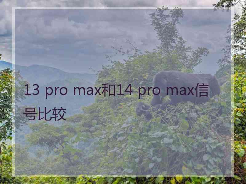 13 pro max和14 pro max信号比较