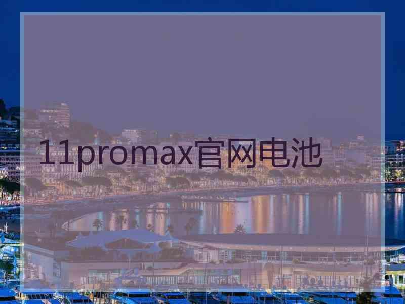 11promax官网电池