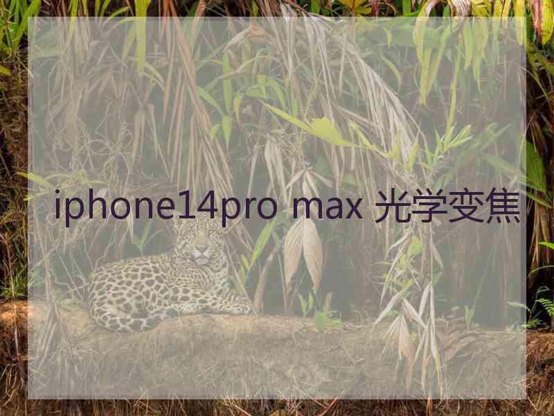 iphone14pro max 光学变焦