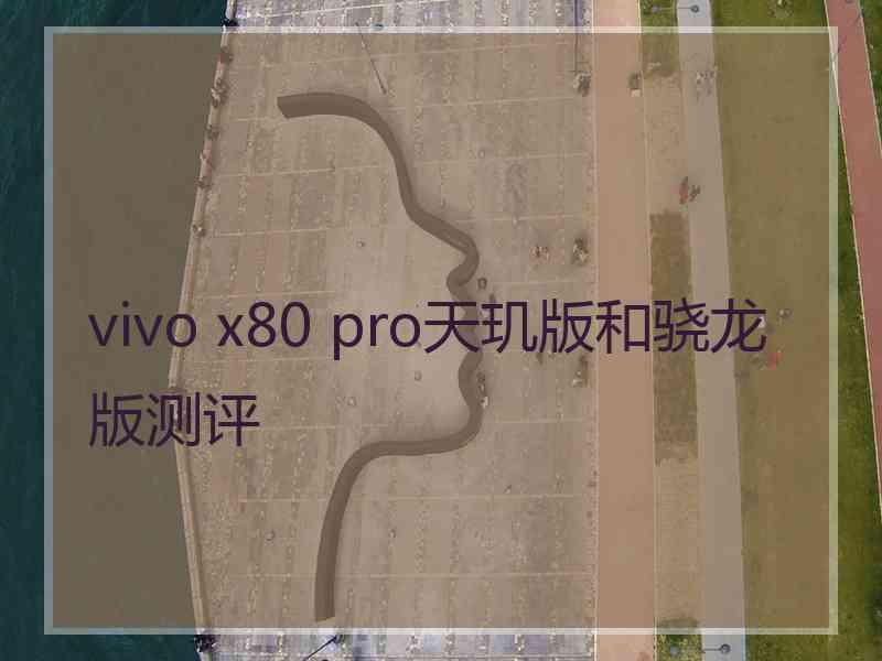 vivo x80 pro天玑版和骁龙版测评