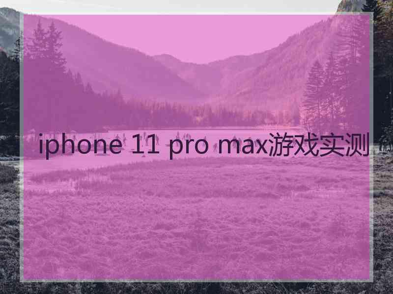 iphone 11 pro max游戏实测