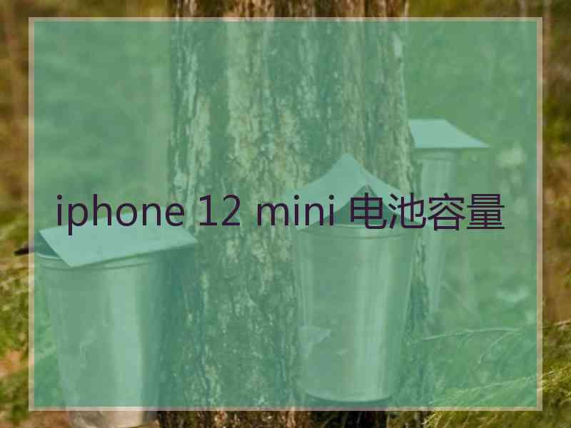 iphone 12 mini 电池容量