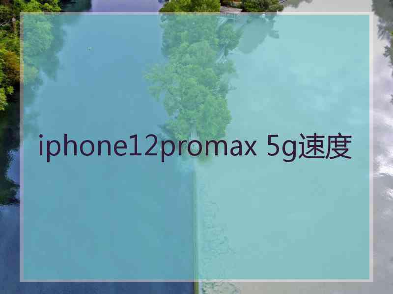 iphone12promax 5g速度