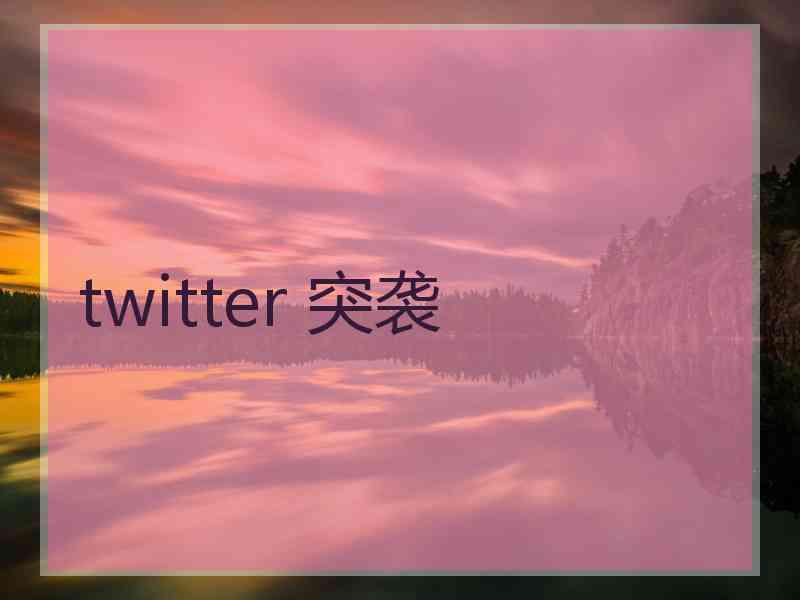 twitter 突袭