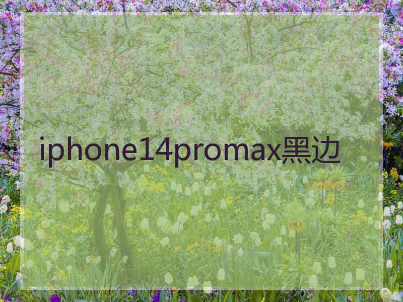 iphone14promax黑边