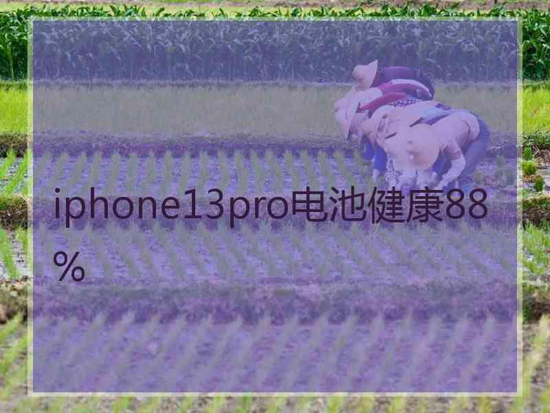 iphone13pro电池健康88%