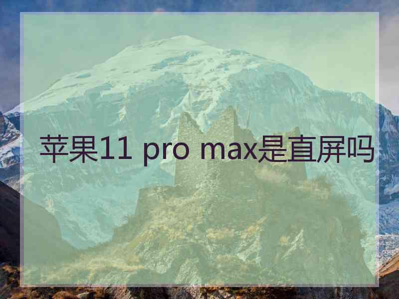 苹果11 pro max是直屏吗