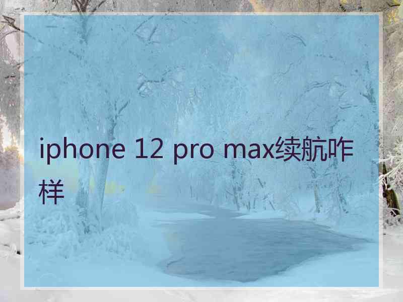 iphone 12 pro max续航咋样