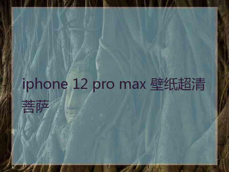 iphone 12 pro max 壁纸超清菩萨