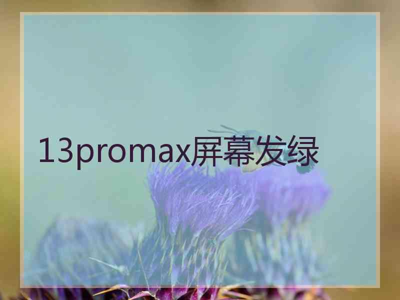 13promax屏幕发绿