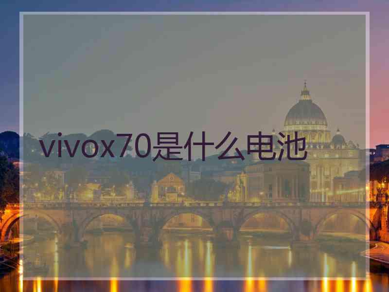 vivox70是什么电池