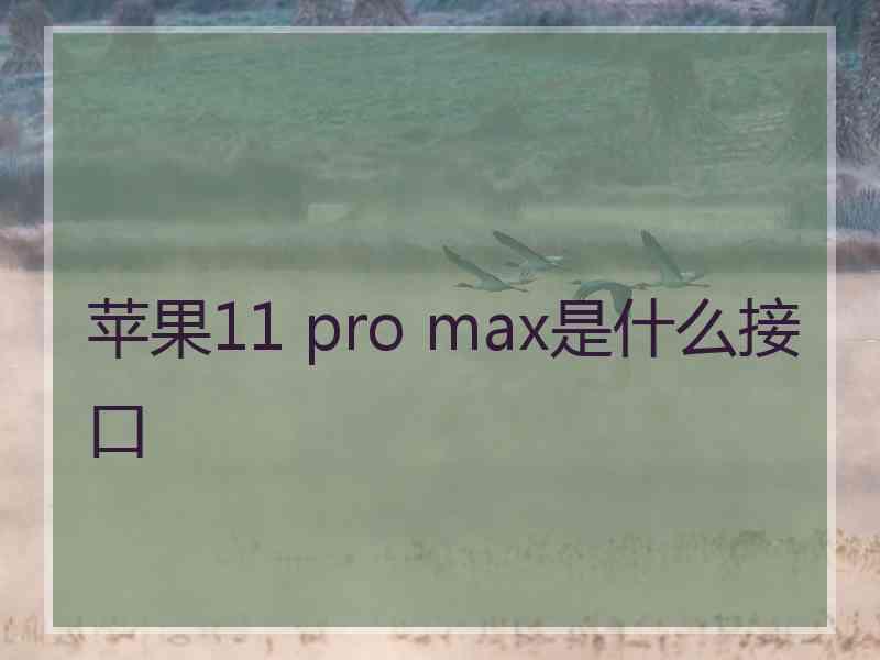 苹果11 pro max是什么接口