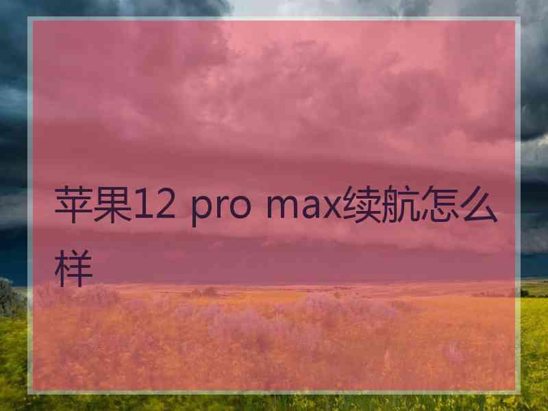 苹果12 pro max续航怎么样