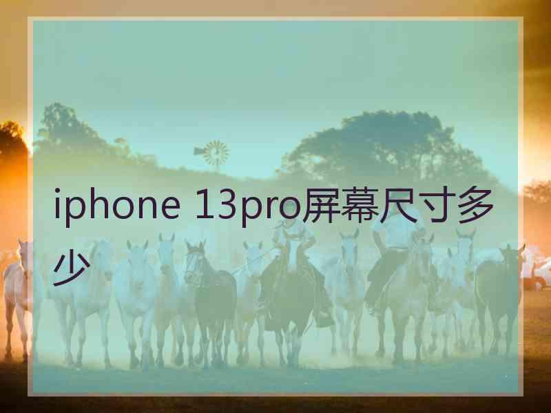 iphone 13pro屏幕尺寸多少