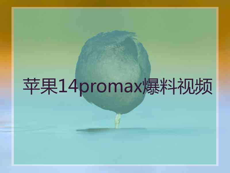 苹果14promax爆料视频