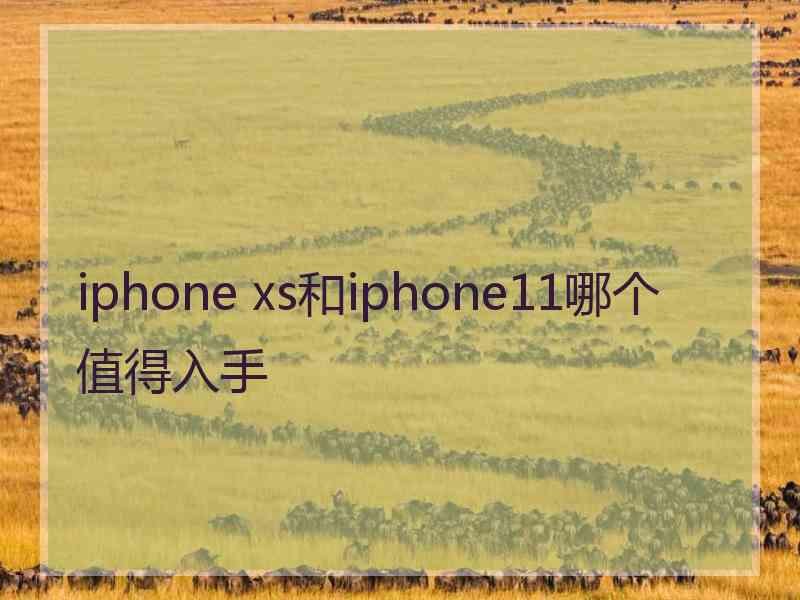 iphone xs和iphone11哪个值得入手