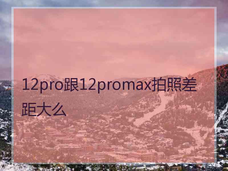 12pro跟12promax拍照差距大么