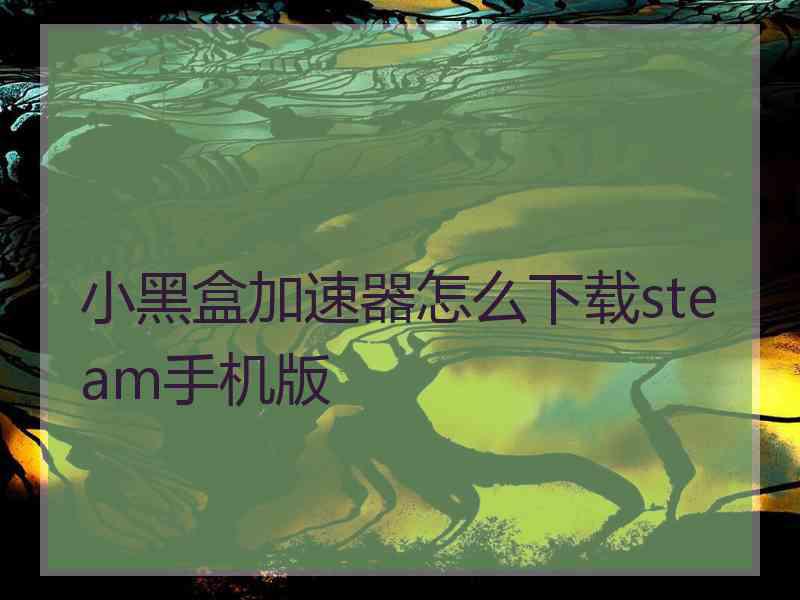 小黑盒加速器怎么下载steam手机版