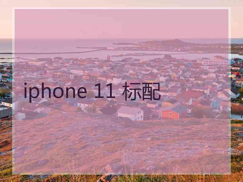 iphone 11 标配