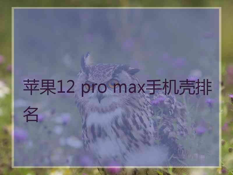 苹果12 pro max手机壳排名