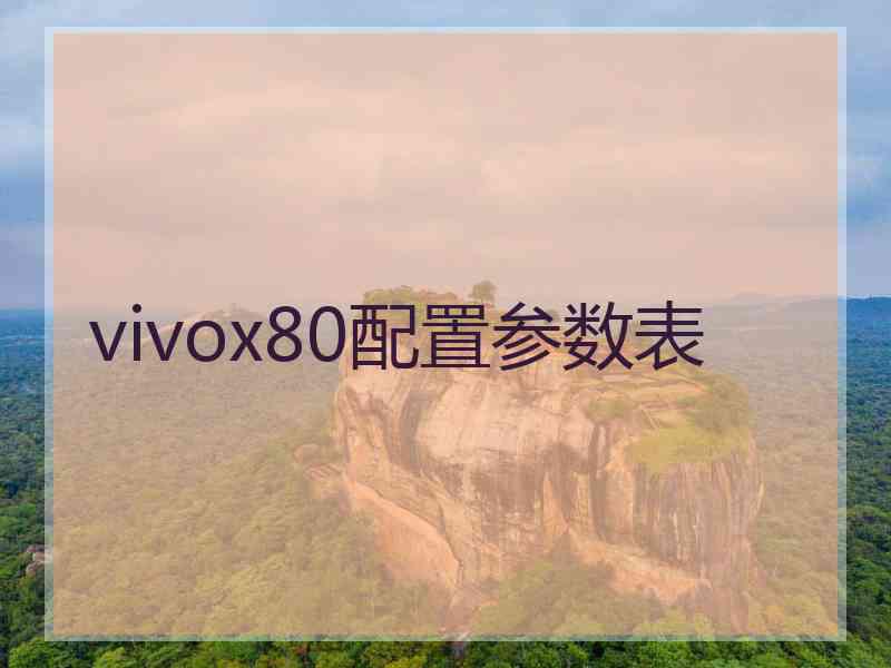 vivox80配置参数表