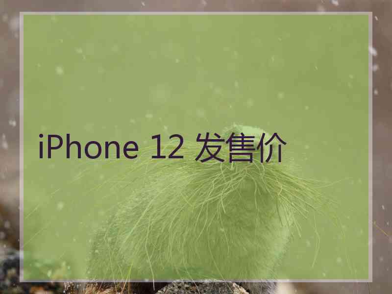 iPhone 12 发售价