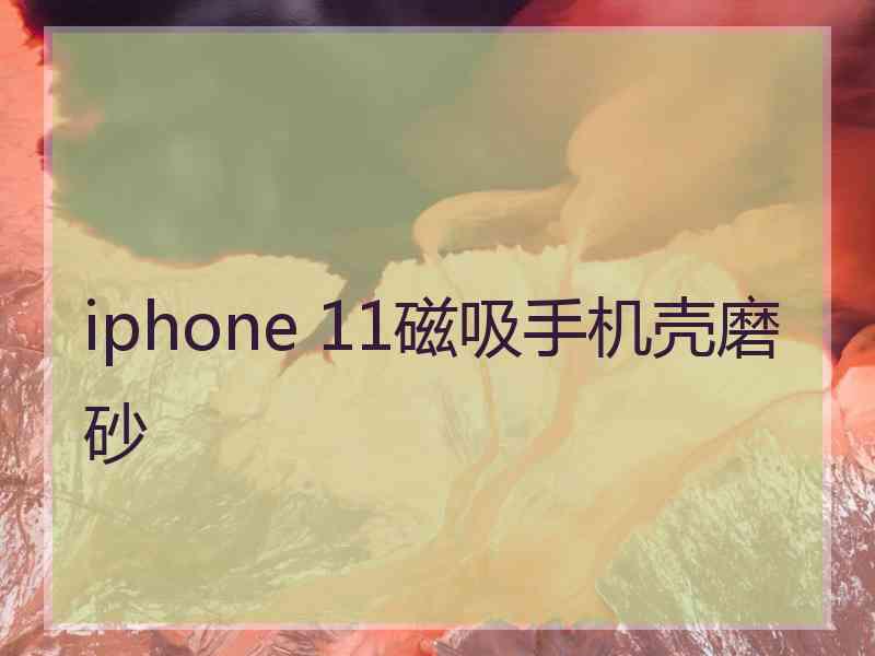 iphone 11磁吸手机壳磨砂