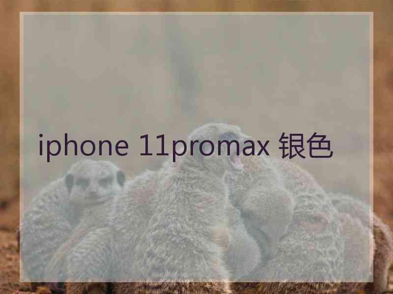 iphone 11promax 银色