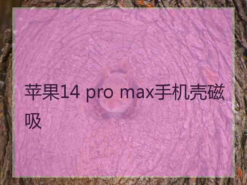 苹果14 pro max手机壳磁吸