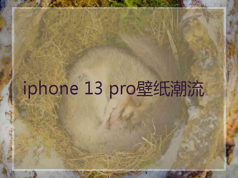 iphone 13 pro壁纸潮流