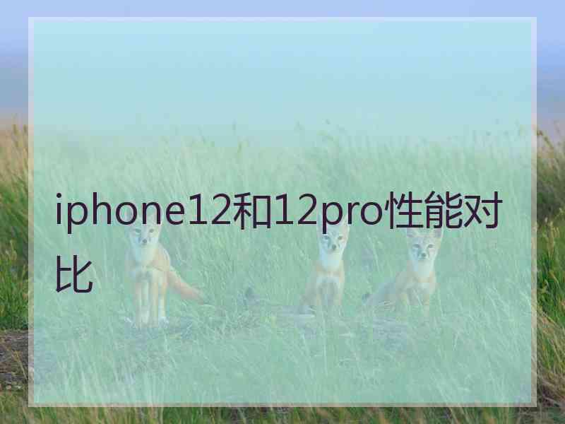 iphone12和12pro性能对比