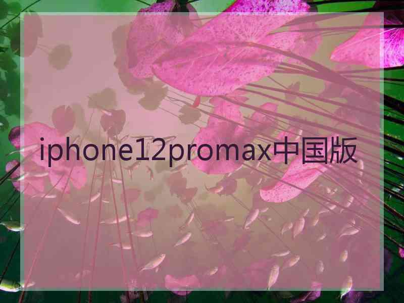 iphone12promax中国版