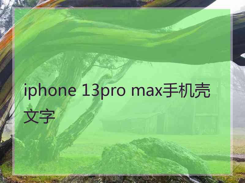 iphone 13pro max手机壳文字