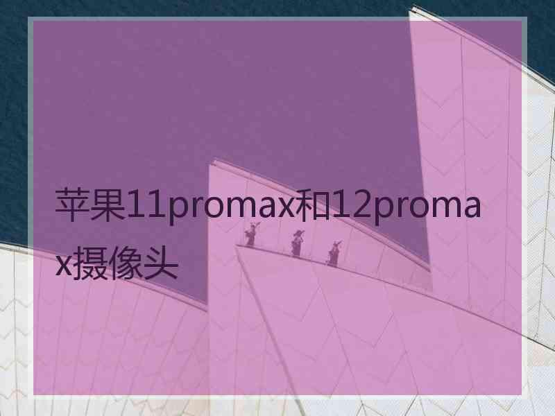 苹果11promax和12promax摄像头