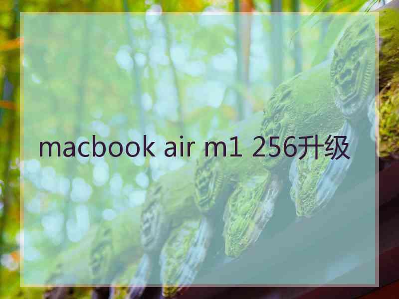 macbook air m1 256升级