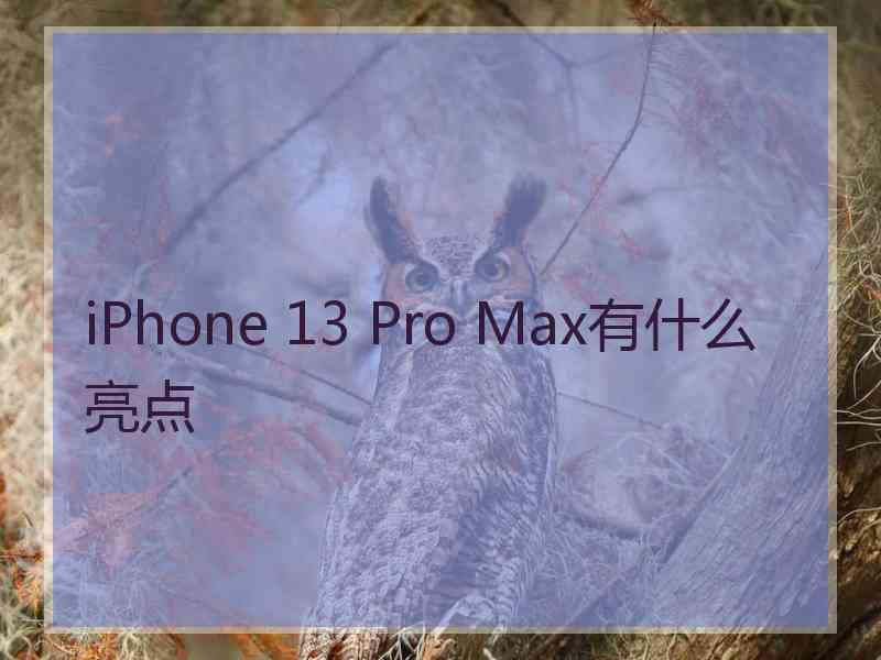 iPhone 13 Pro Max有什么亮点