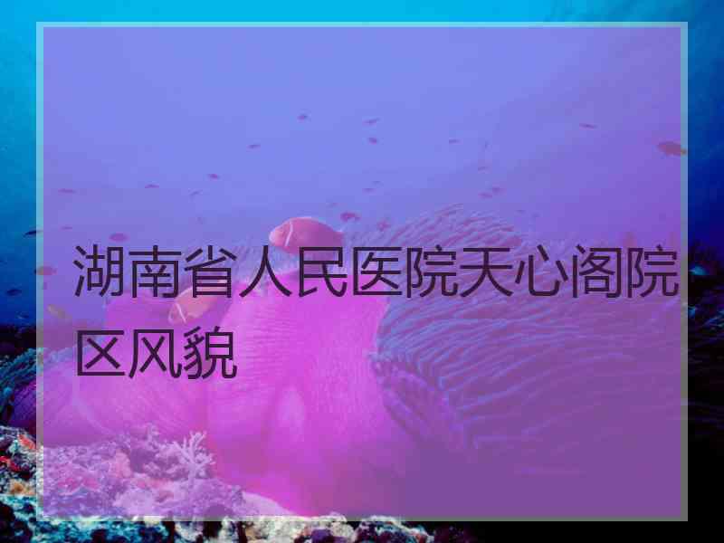 湖南省人民医院天心阁院区风貌