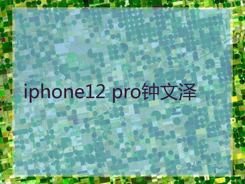 iphone12 pro钟文泽